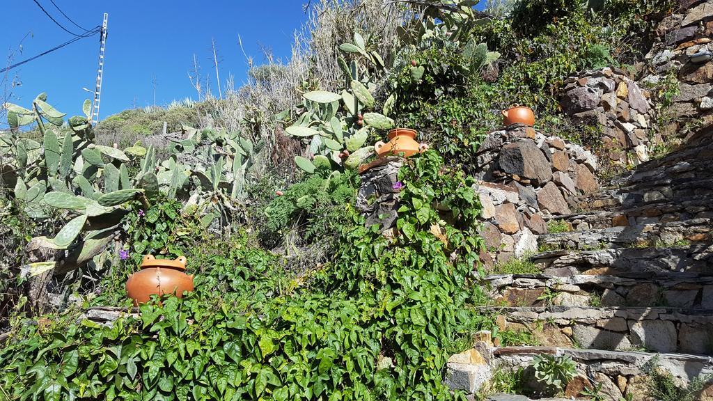 Casa Rural - Laendliches Haus, Pepita La De Las Flores Tejeda  Zewnętrze zdjęcie